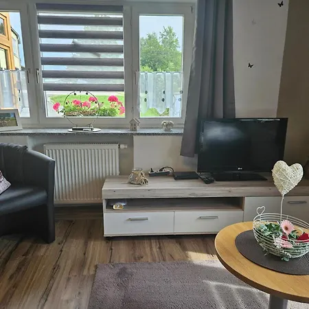 Auszeit Zwischen Fellnasen *