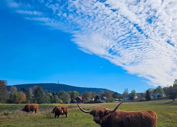 Auszeit Zwischen Fellnasen * Bischofsgrün