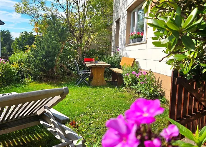 Auszeit Zwischen Fellnasen *